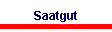 Saatgut