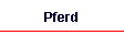 Pferd