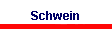 Schwein