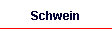 Schwein